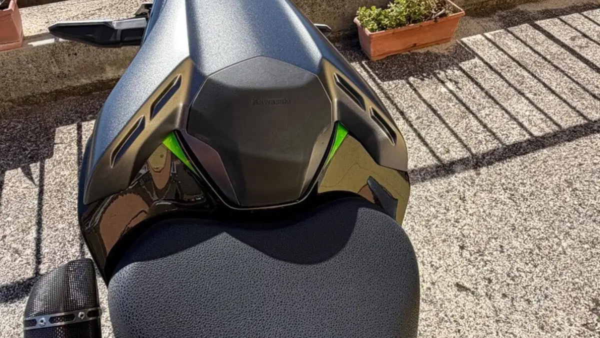 Kawasaki Z 900 SE Performance (2023 - 24)  (7)