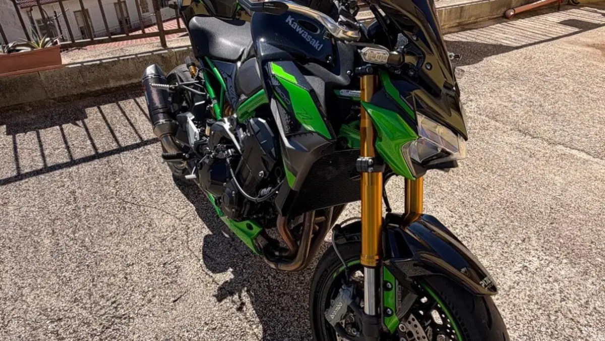 Kawasaki Z 900 SE Performance (2023 - 24)  (8)