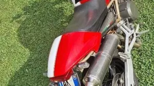 Ducati Monster 600 (1994 - 02)  (2)