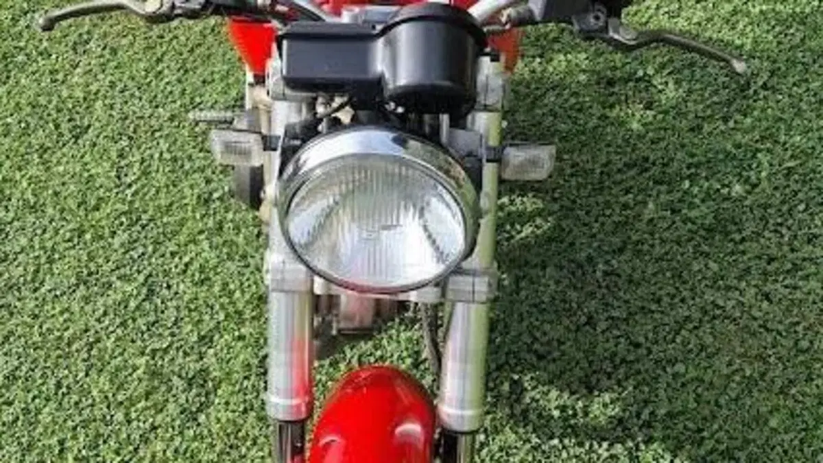 Ducati Monster 600 (1994 - 02)  (3)