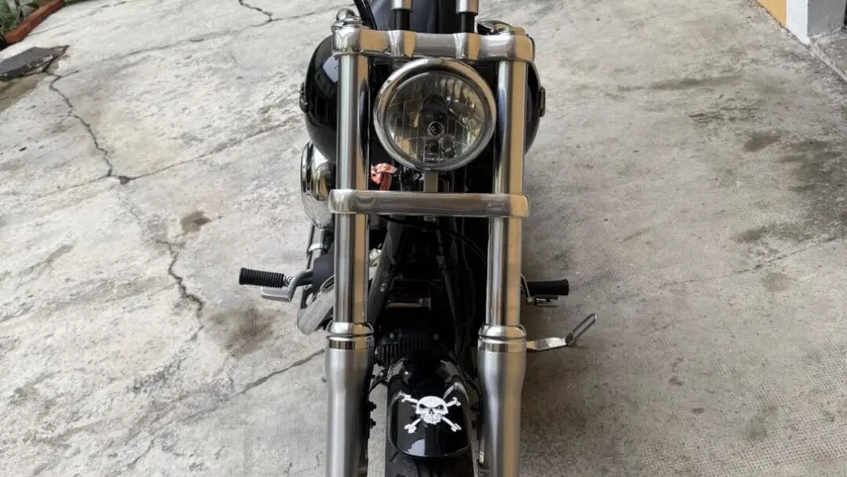 Harley-Davidson 1584 Street Bob (2008 - 15) - FXDB  (3)