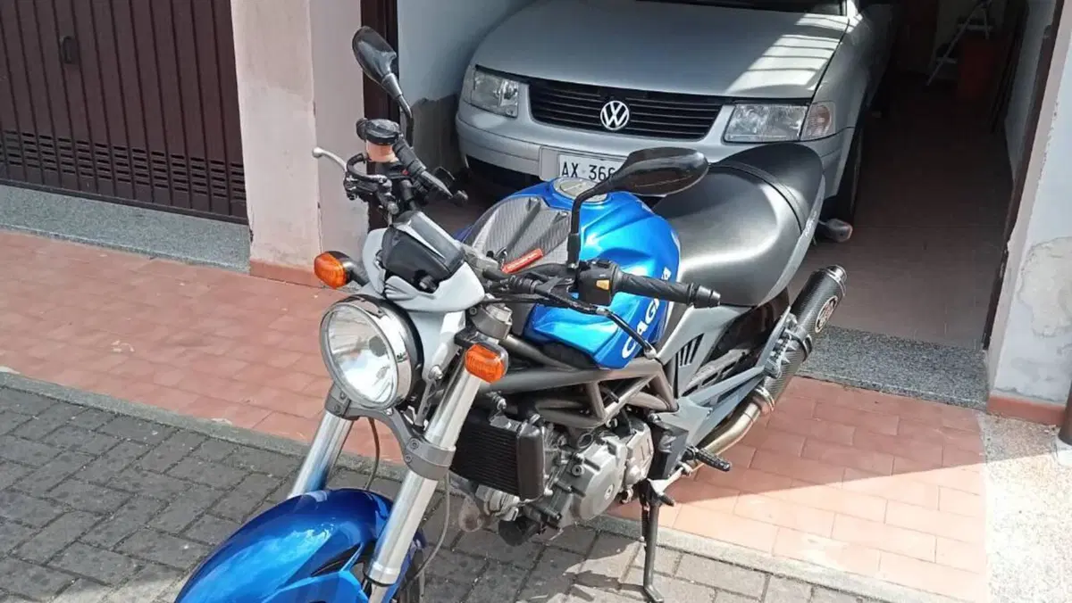 Cagiva Raptor 650 (2001 - 04)  (5)