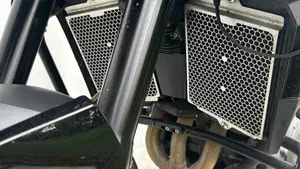 Triumph Tiger 900 GT (2020 - 23)  (4)