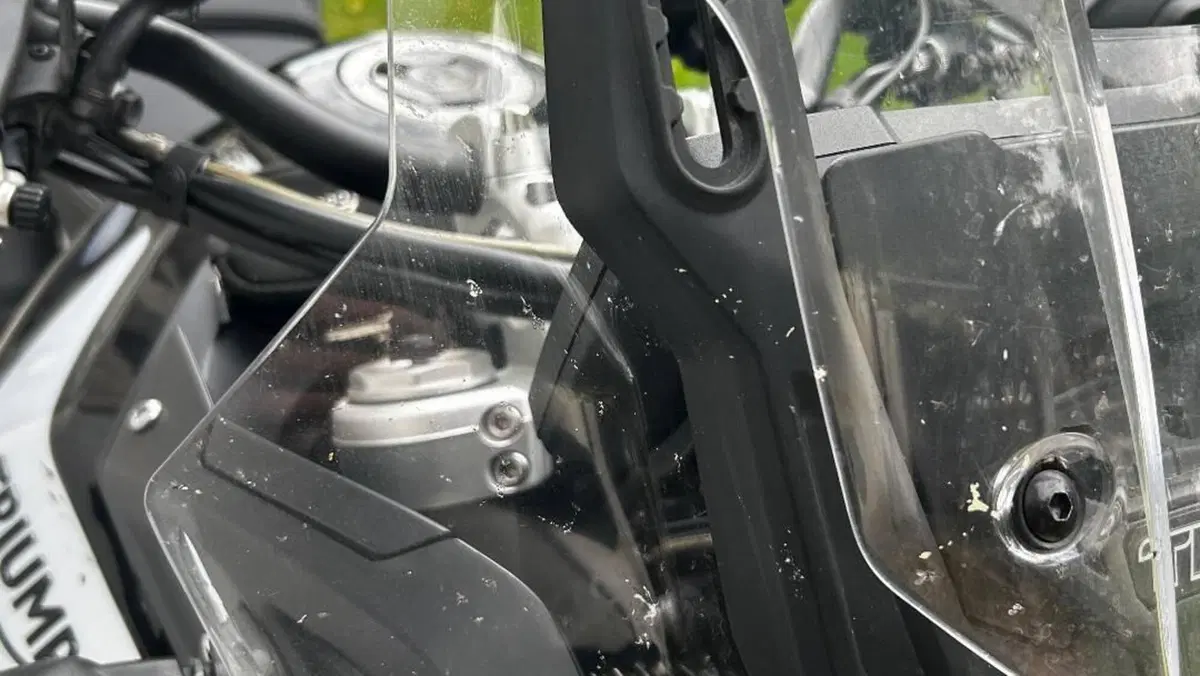 Triumph Tiger 900 GT (2020 - 23)  (5)