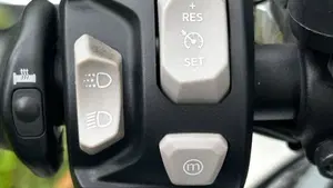 Triumph Tiger 900 GT (2020 - 23)  (10)