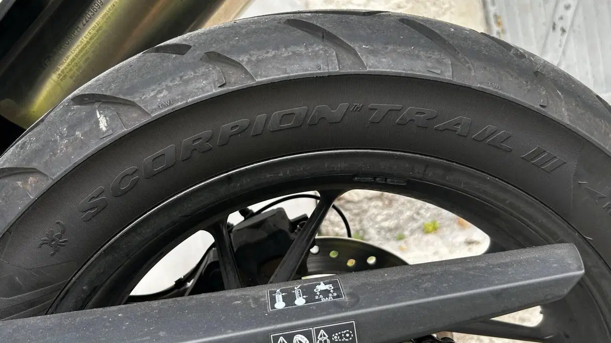 Triumph Tiger 900 GT (2020 - 23)  (12)