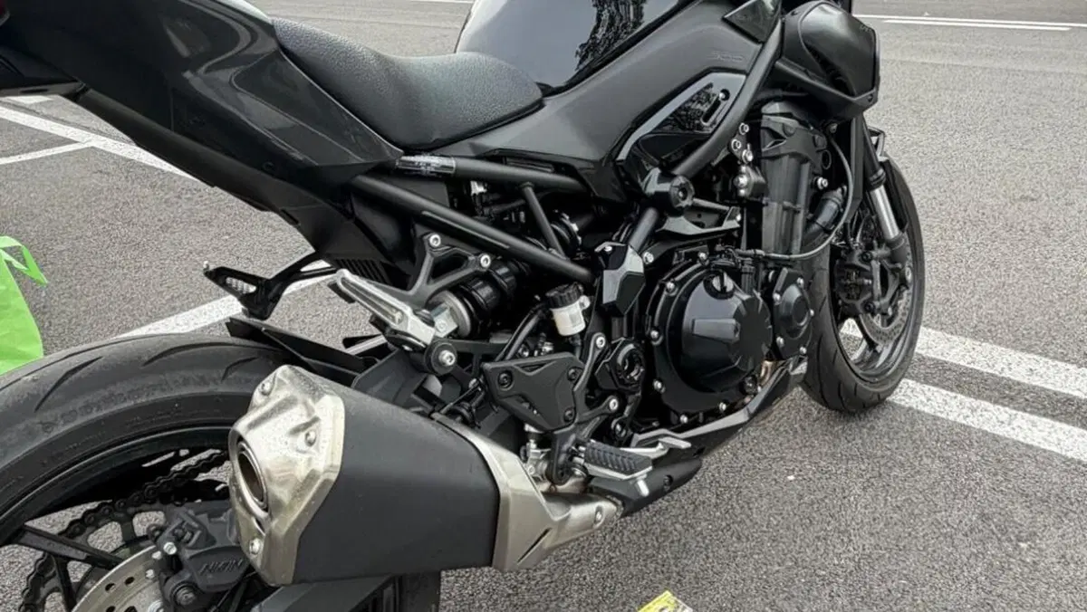 Kawasaki Z 900 A2 (2025 - 27)  (6)