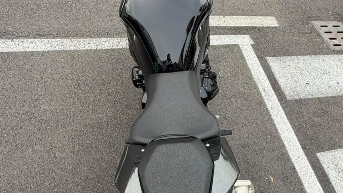 Kawasaki Z 900 A2 (2025 - 27)  (15)