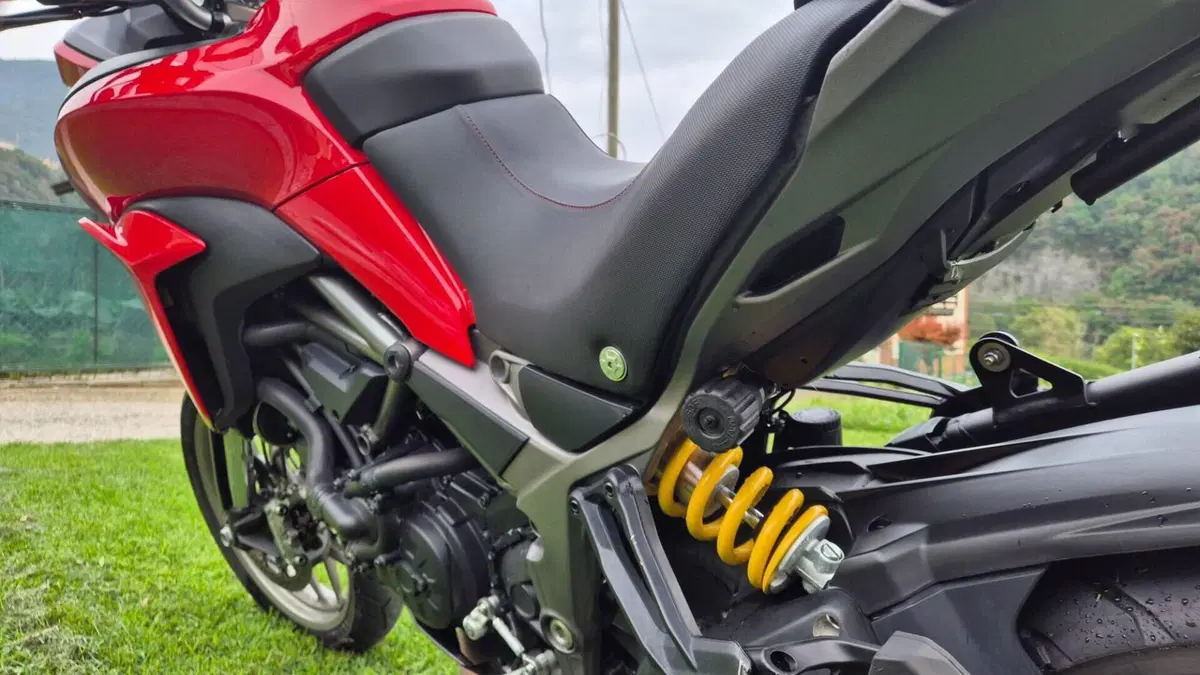 Ducati Multistrada 950 (2018)  (6)