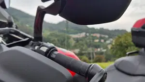 Ducati Multistrada 950 (2018)  (10)
