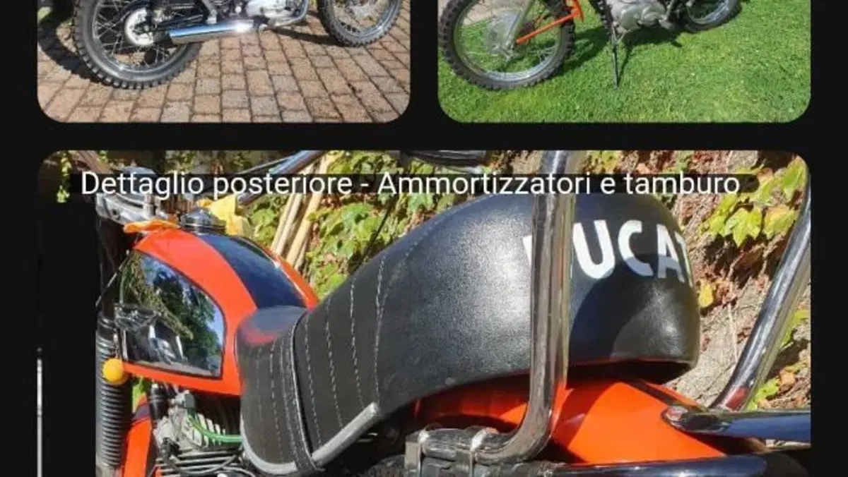 Ducati  