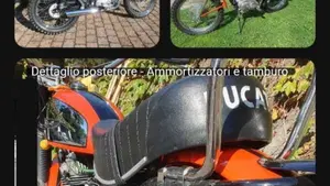 Ducati  