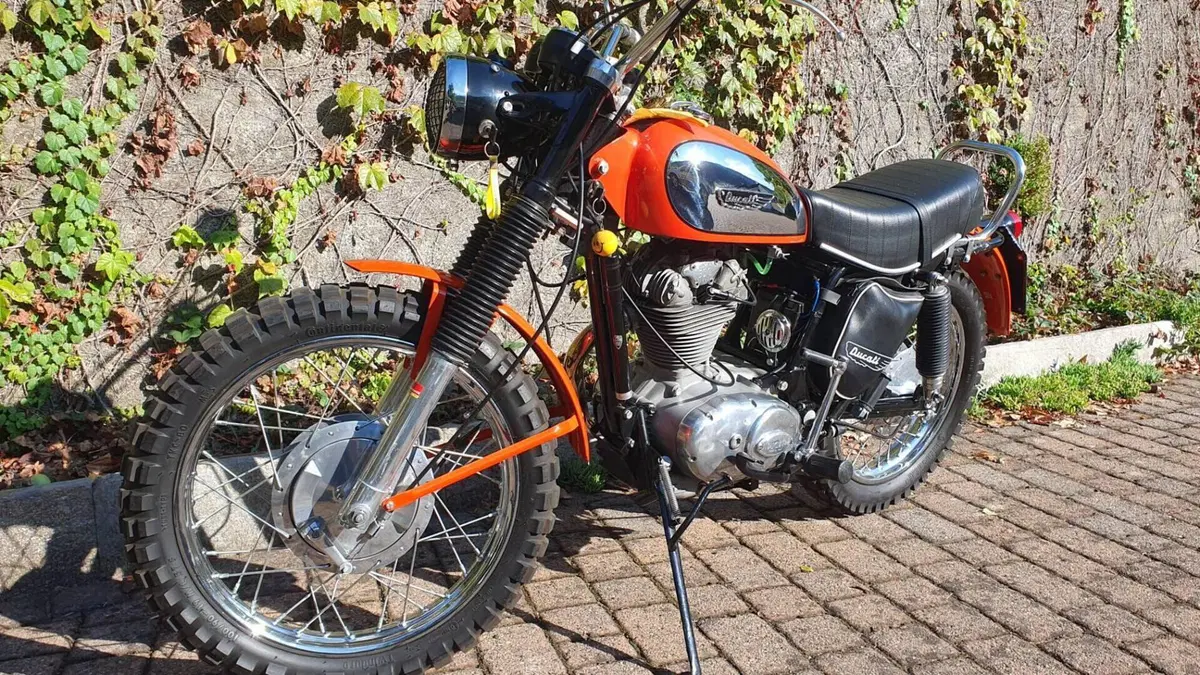 Ducati   (6)