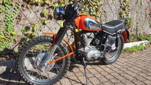 Ducati   (6)