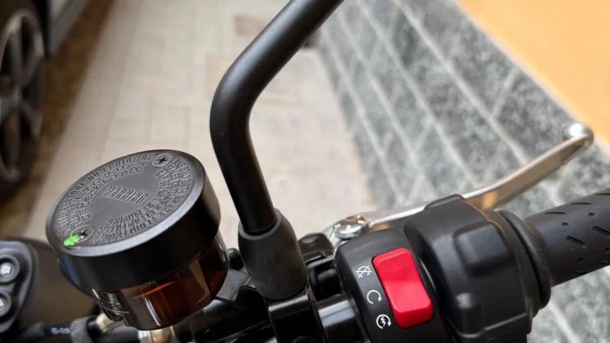 Triumph Speed Twin 900 (2023 - 24)  (5)