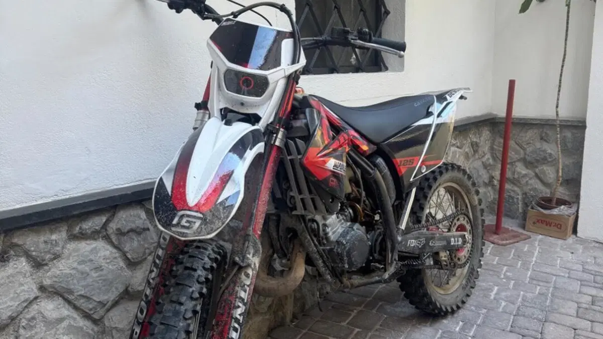 GASGAS EC 125 2T (2009)  (2)