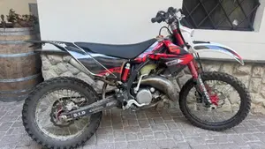 GASGAS EC 125 2T (2009)  (4)