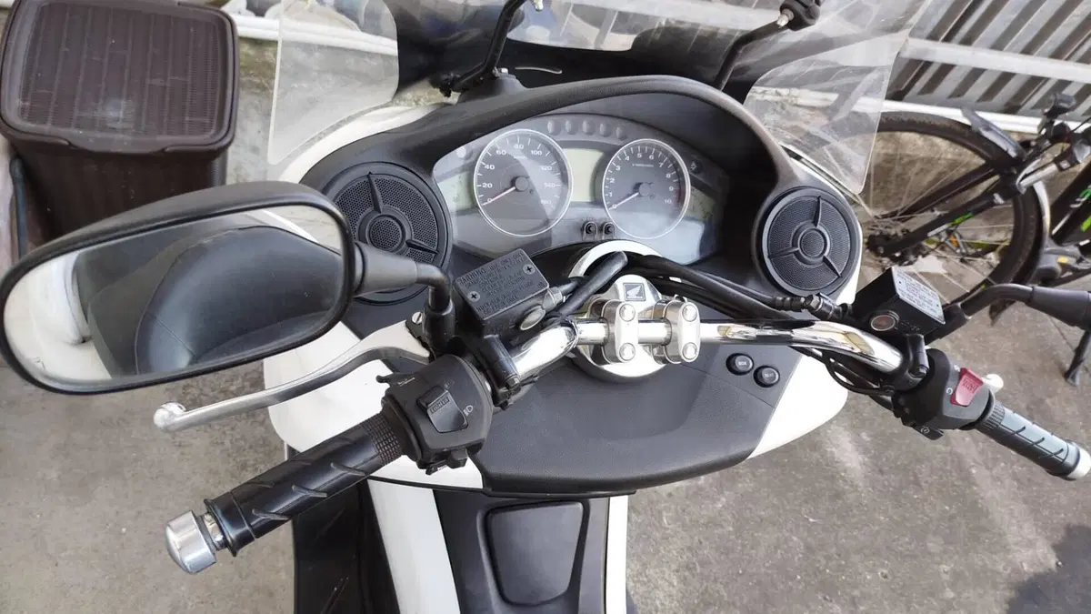 Honda Forza 250 X (2008 - 11)  (4)