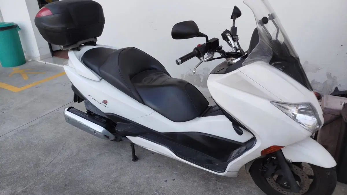 Honda Forza 250 X (2008 - 11)  (5)
