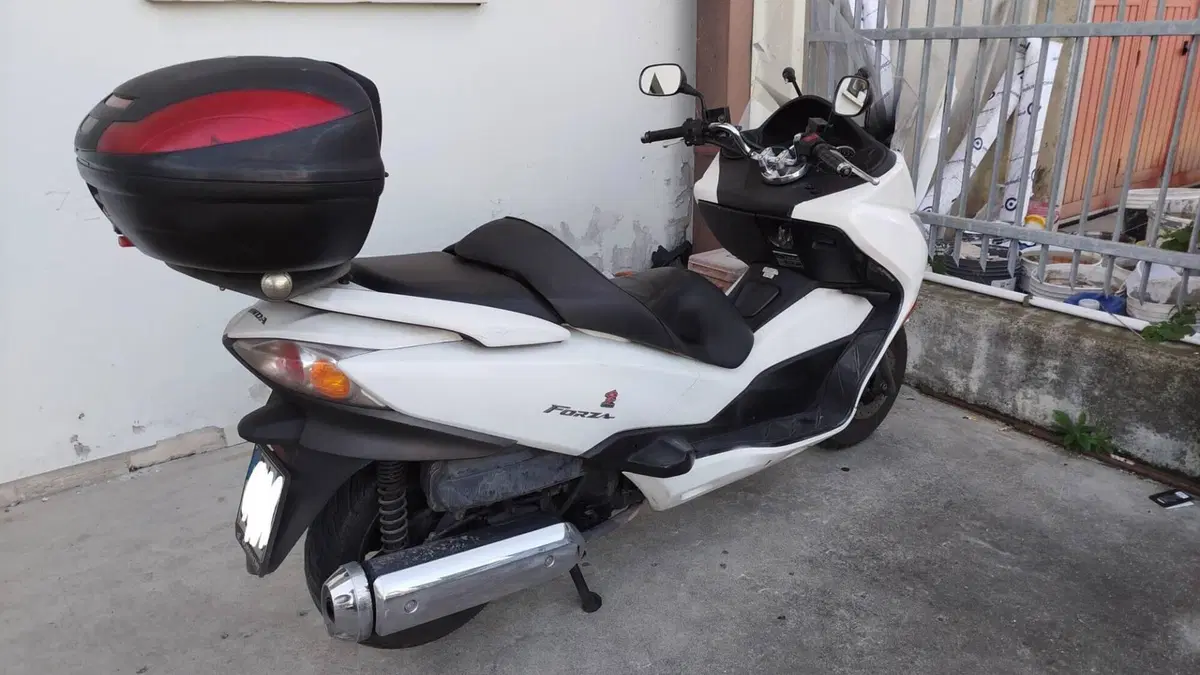Honda Forza 250 X (2008 - 11)  (6)