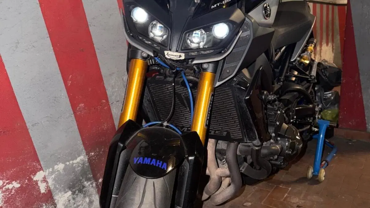 Yamaha MT-09 SP (2018 - 20)  (5)