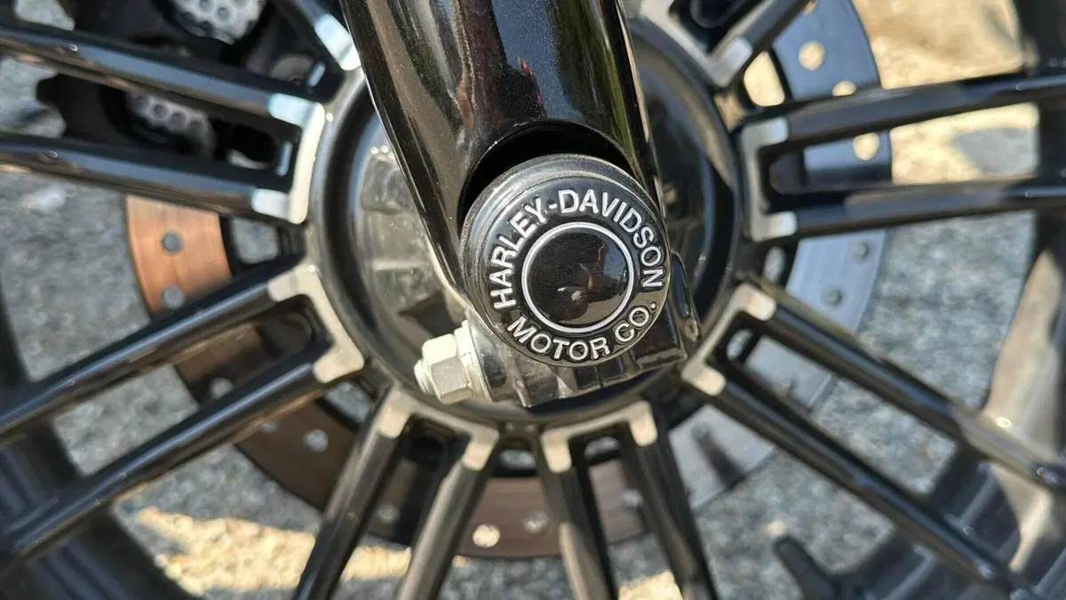 Harley-Davidson 1200 Forty-Eight (2016 - 20)  (8)