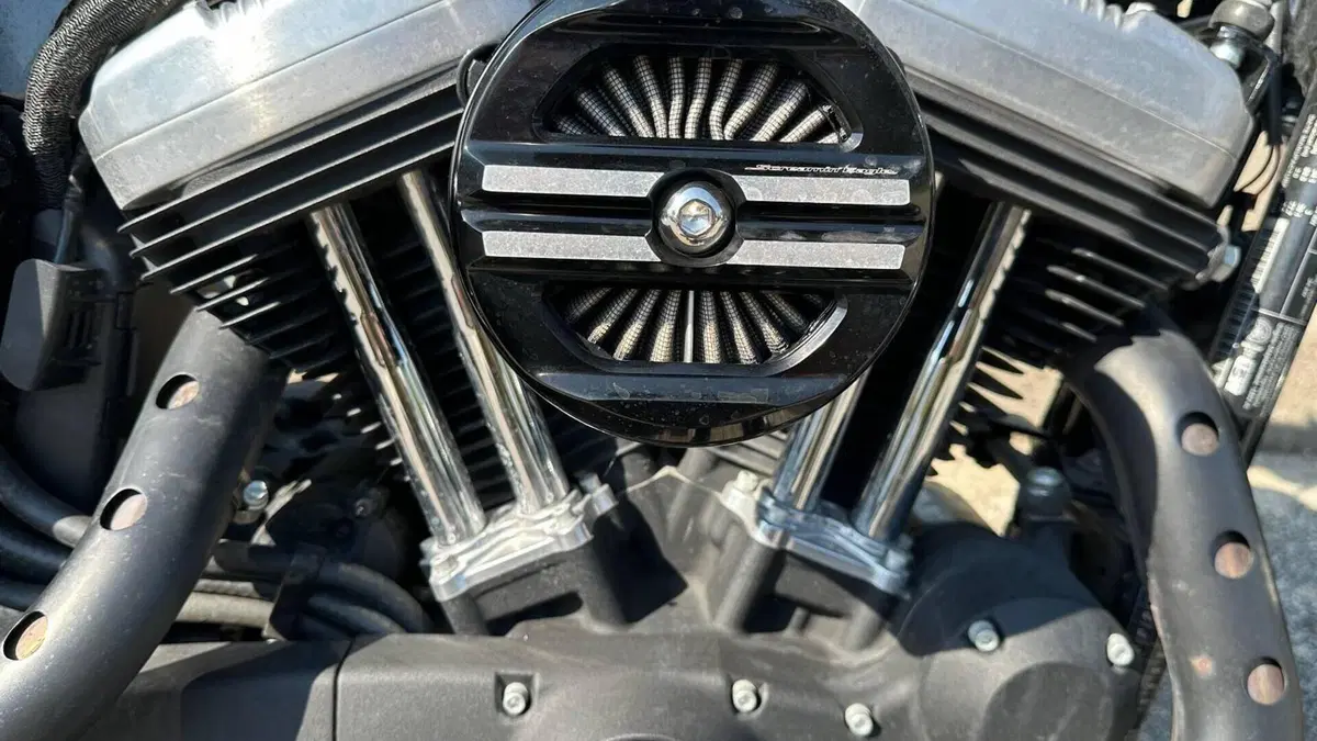 Harley-Davidson 1200 Forty-Eight (2016 - 20)  (9)