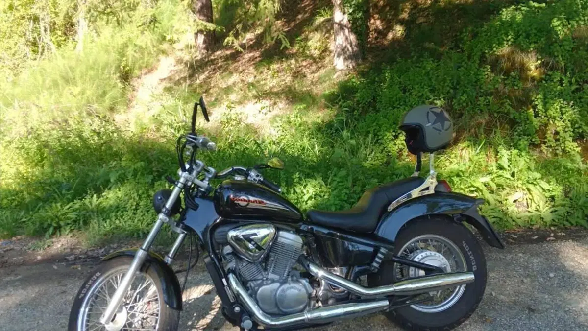 Honda VT 600 C Shadow (1989 - 02) 