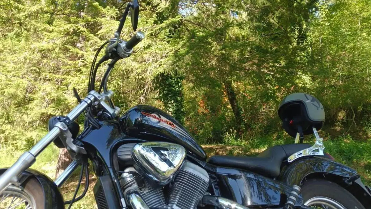Honda VT 600 C Shadow (1989 - 02)  (2)