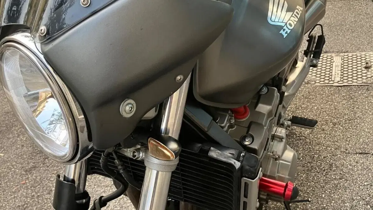 Honda Hornet 900  (7)