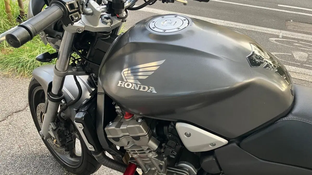 Honda Hornet 900  (12)