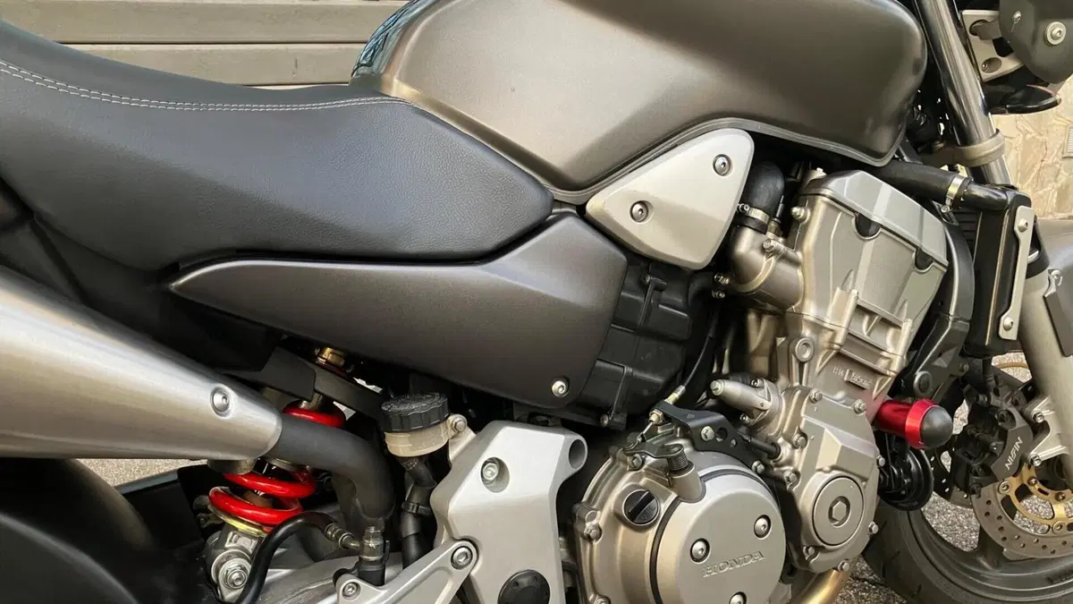 Honda Hornet 900  (14)