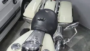 Harley-Davidson 1340 Road King (1995 - 98) - FLHR  (6)