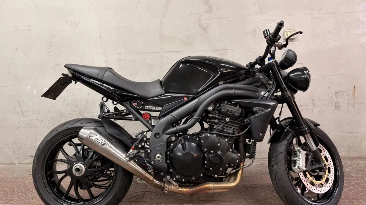 Triumph Speed Triple 1050 (2005 - 11)  (2)
