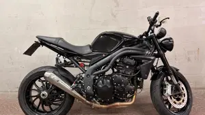 Triumph Speed Triple 1050 (2005 - 11)  (2)