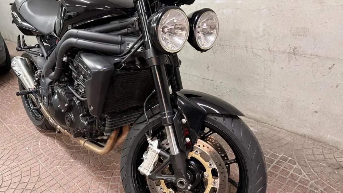 Triumph Speed Triple 1050 (2005 - 11)  (3)