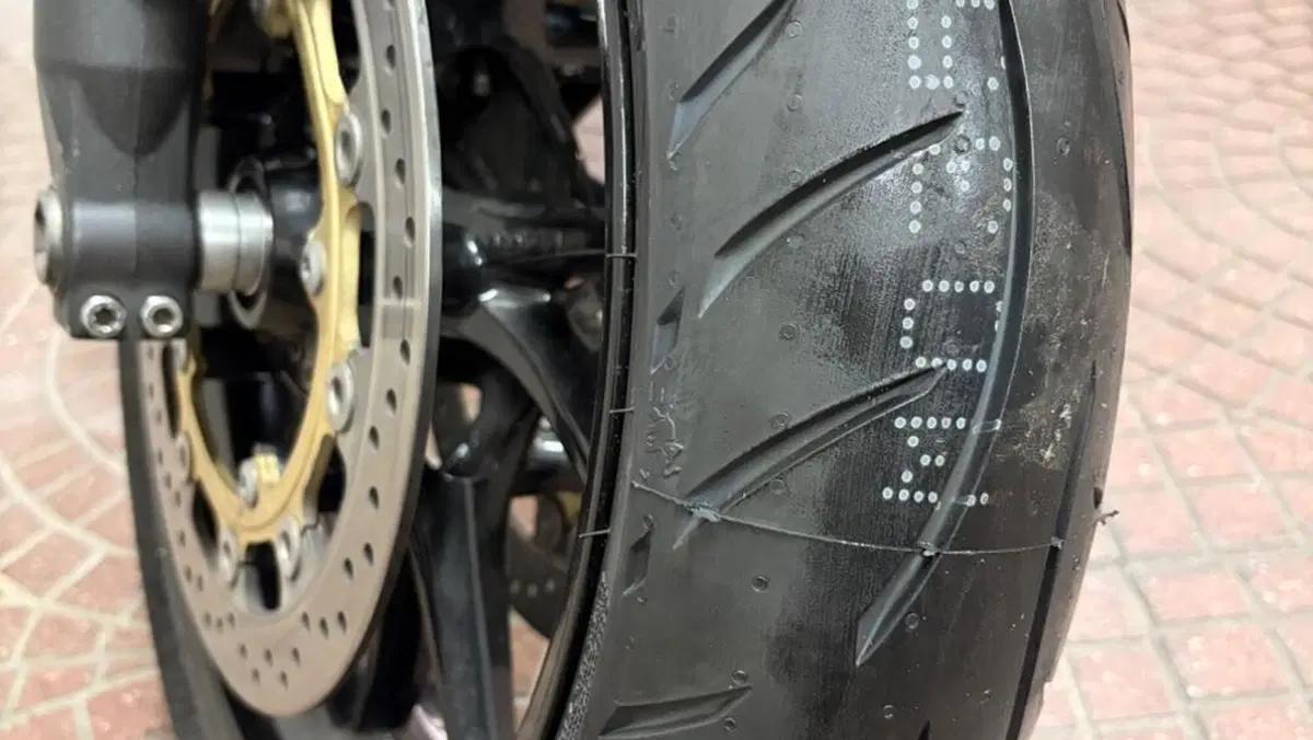 Triumph Speed Triple 1050 (2005 - 11)  (4)