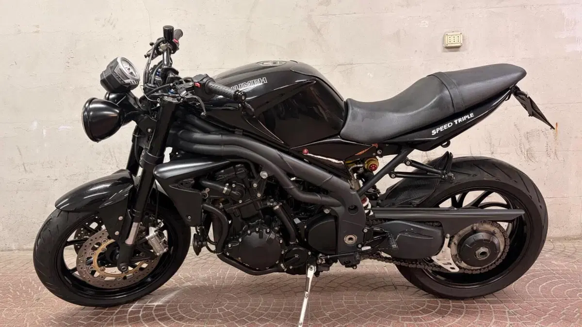 Triumph Speed Triple 1050 (2005 - 11)  (5)