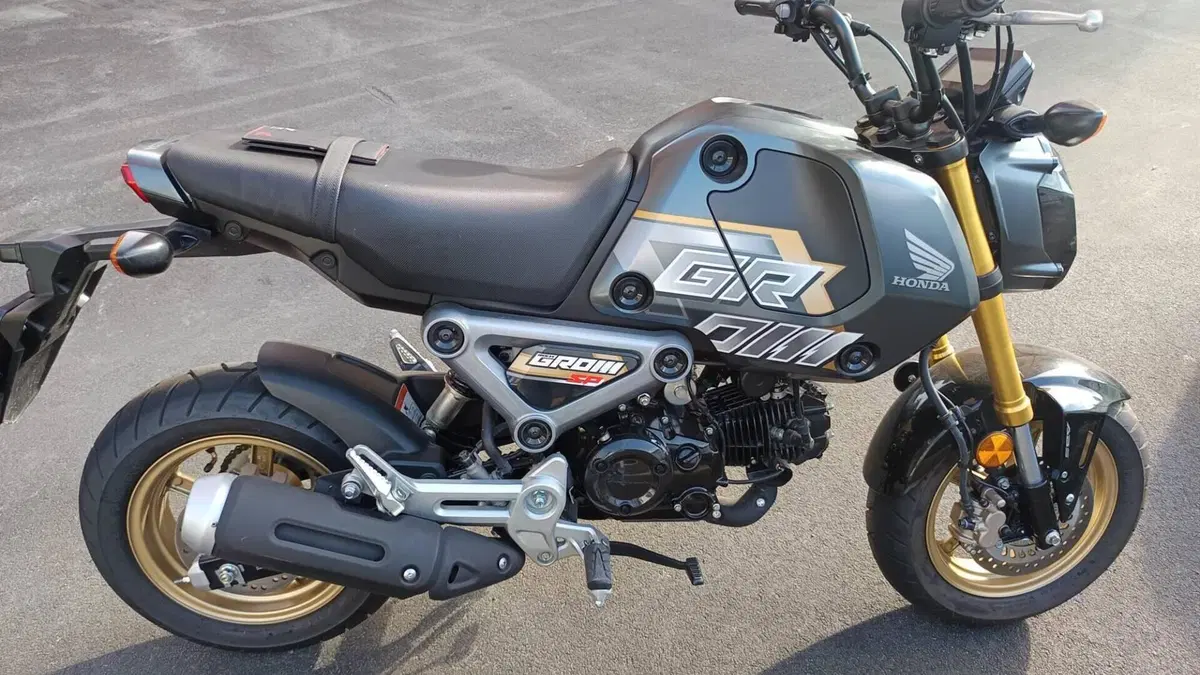 Honda MSX 125 Grom (2021 - 26) 