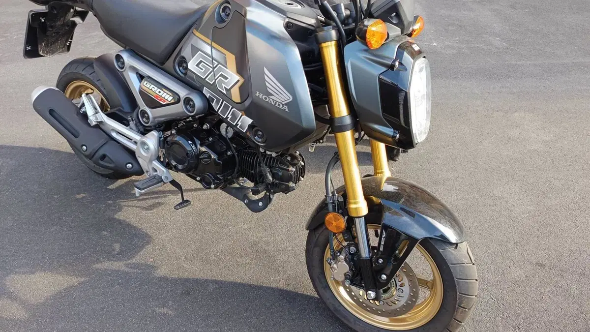 Honda MSX 125 Grom (2021 - 26)  (4)