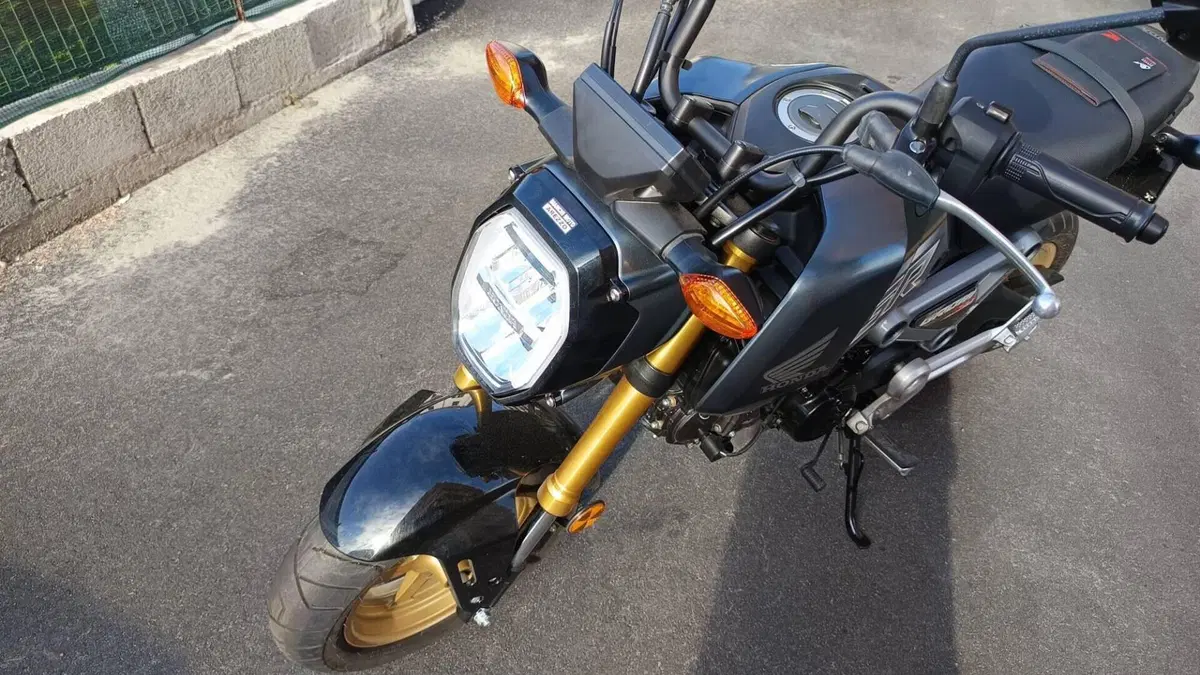Honda MSX 125 Grom (2021 - 26)  (5)