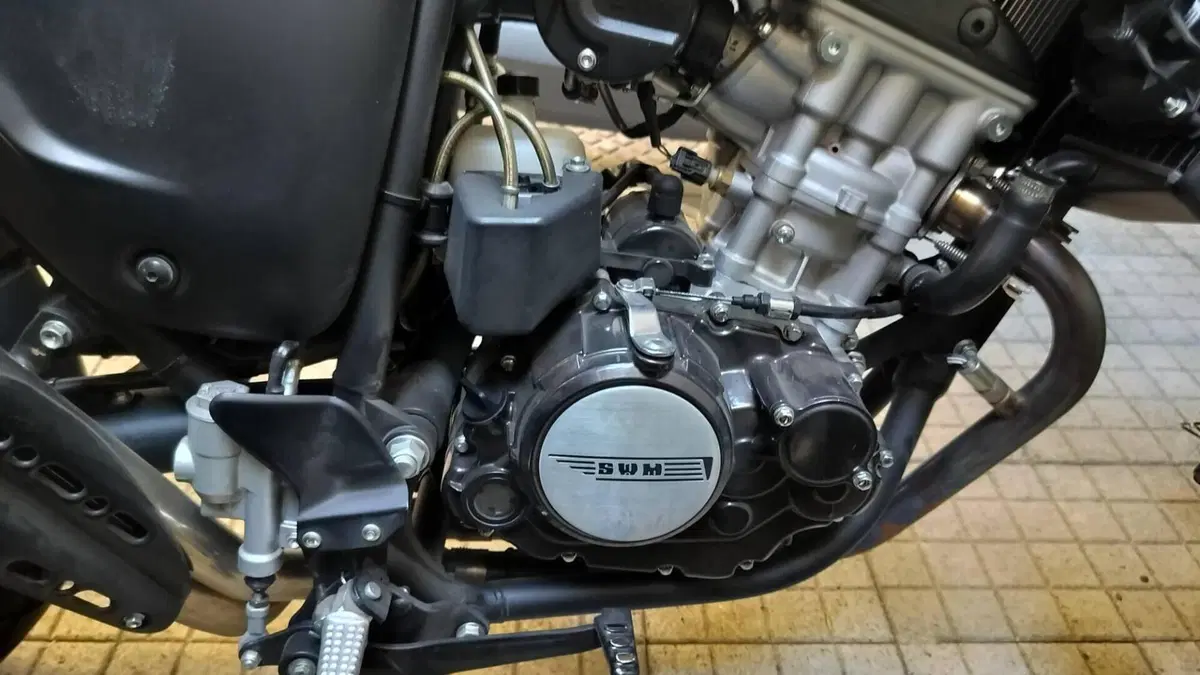 Swm Ace of Spades 125 (2019)  (9)