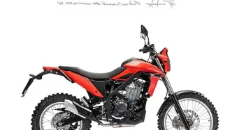 Betamotor Alp 4.0 (2024 - 26) nuova