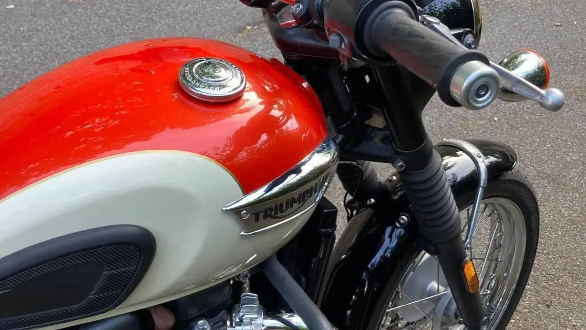 Triumph Bonneville T100 (2017 - 20)  (2)