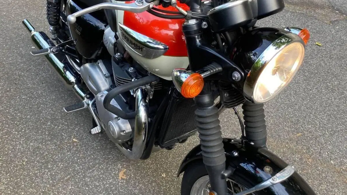 Triumph Bonneville T100 (2017 - 20)  (3)