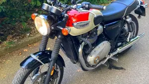Triumph Bonneville T100 (2017 - 20)  (6)