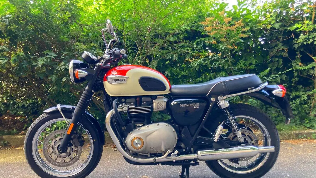 Triumph Bonneville T100 (2017 - 20)  (7)