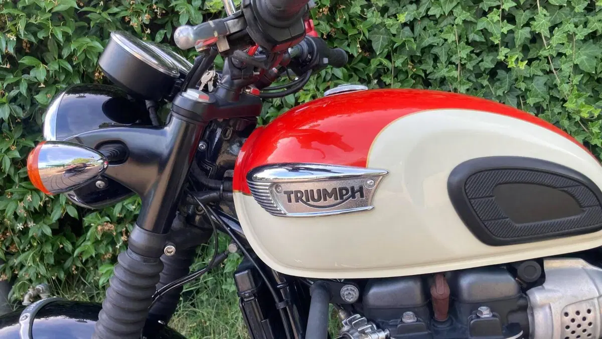 Triumph Bonneville T100 (2017 - 20)  (8)