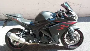 Yamaha YZF R3 (2015 - 17)  (2)