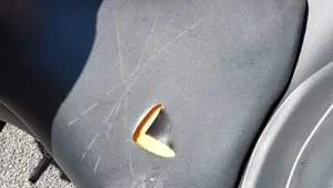 Yamaha YZF R3 (2015 - 17)  (5)